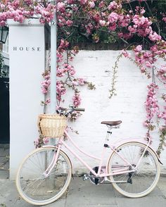 a pink bicycle parked next to a white wall with flowers growing on it's side