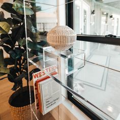 a glass shelf with books on it next to a potted plant in front of a window