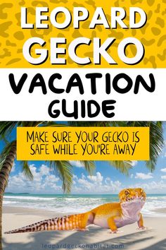 the leopard gecko vacation guide is shown with an image of a lizard on the beach