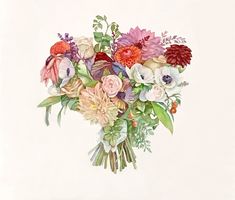 a bouquet of flowers is shown in this watercolor and ink drawing by artist mary anns