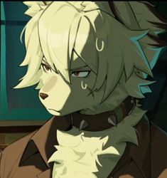 an anime character with white hair wearing a brown coat and black collar, looking at the camera