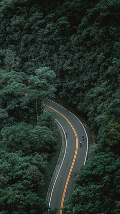 two people riding bikes down a winding road in the woods with trees on both sides