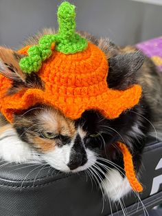 a calico cat wearing a crocheted hat on top of a suitcase