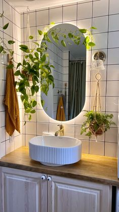 a bathroom sink sitting under a round mirror next to a potted plant on top of a counter