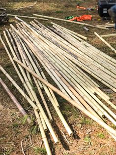 a pile of bamboo sticks laying on the ground