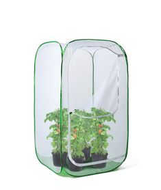 48 Enclosure Protection 28 Vegetables Plant Enclosure, Tall Potted Plants, Butterfly Cage, Fruit Bushes, Garden Netting, Opening Door, Plant Covers, Grow Tent, Mini Greenhouse