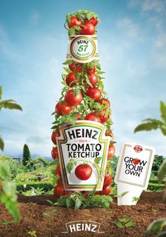 an advertisement for heinz's tomato ketchup with tomatoes growing on the top