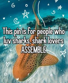 a starfish with the caption, this pin is for people who luv sharks, shark lovers assemble