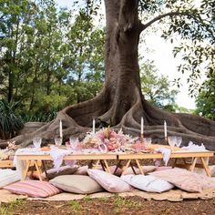 a table set up with pillows and candles in front of a large banyan tree