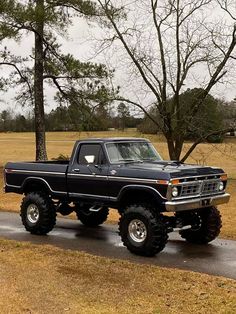 a black pickup truck parked on the side of a road next to a tree and grass covered field