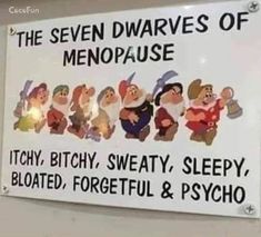 7 Dwarfs, Funny Cartoons Jokes, Funny Quotes Sarcasm, Funny Jokes For Adults, Funny Thoughts, Funny Cartoon Quotes, Best Pics, Seven Dwarfs