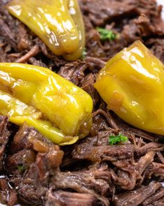 shredded beef and peppers on a plate with parsley