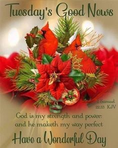 a christmas card with red poinsettis and green leaves on the bottom reads, tuesday's good news god is my strength and he makes my way perfect have a wonderful day