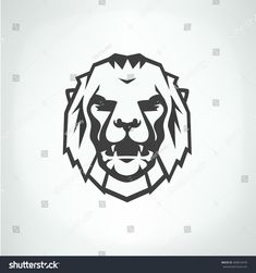 the head of a lion on a white background