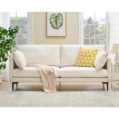 a living room scene with focus on the sofa