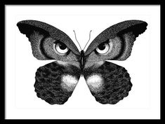 a black and white drawing of a butterfly with large eyes on it's wings