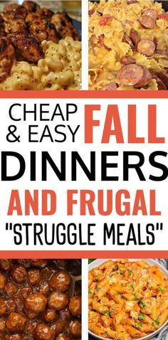 the cover of cheap and easy dinners and frugal struggle meals, with images of different types of food