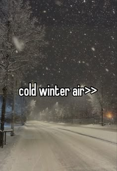 the words cold winter air are in front of a snowy road