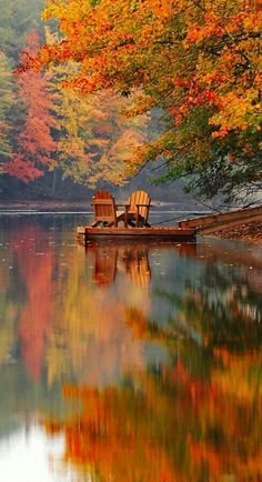 two chairs are sitting on the edge of a lake surrounded by trees with fall foliage