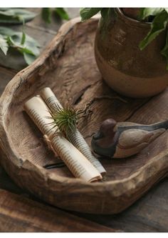 two birds are sitting on a wooden tray next to some air plants in a potted planter