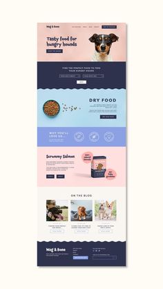 an image of a dog food store website design with the theme's color scheme