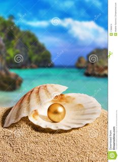 a seashell on the beach with an island in the background