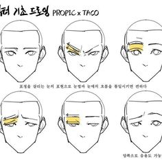 an anime character's face with different angles and facial features, including the eyebrows