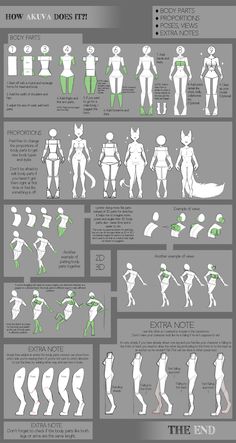 an info sheet showing how to use the body