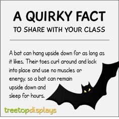 a quirky fact to share with your class about bats and how they can help