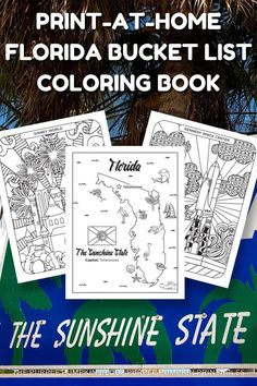 the florida bucket list coloring book is shown in front of a palm tree and blue sky