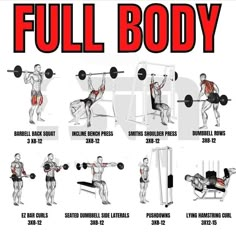 Full Body Workout Total Body Workout Plan, The Rock Workout, Bodybuilding Program, Personalized Workout Plan, Better Instagram, Online Personal Trainer, Full Body Gym Workout