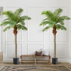 two palm trees sitting next to each other on top of a rug