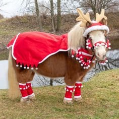 a small horse dressed in red and white with reindeer decorations on it's head