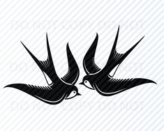 two birds flying in the air with their beaks extended to each other, one is black and white