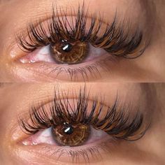 Long Wet Lash Look, Winter Lash Extensions, Classics With Spikes Lashes, Long Wet Set Lash Extensions, Brown And Black Eyelash Extensions, Unique Lash Extensions, Classic Lashes With Spikes, Brown Wet Set Lashes, Brown And Black Lash Extensions