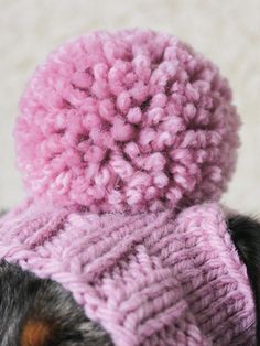 a small dog wearing a pink knitted hat