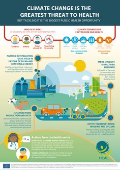 Scientific Poster, Graphic Design Infographic, Infographic Poster, English German, Infographic Illustration, Weather Patterns, Climate Action, Social Change, Environmental Science