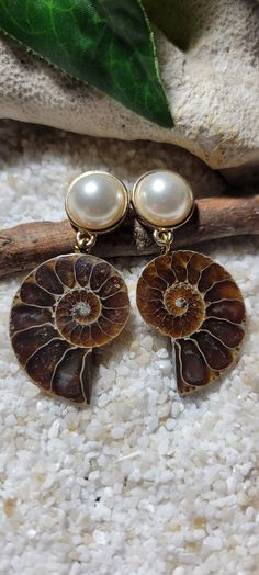 Ammonite Pendant, Ammonite Jewelry, Fossil Earrings, Opal Jewelry Set, Stone Necklaces, Fossil Jewelry, Ammonite Fossil, Future Wardrobe, Wooden Barrel