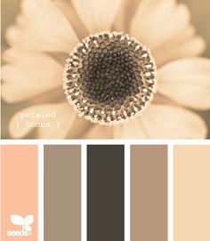 an image of a flower with color swatches