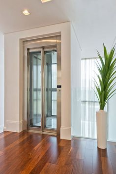 an empty room with wooden floors and a tall plant in the corner on the far wall