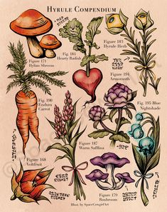 an illustration of various types of vegetables