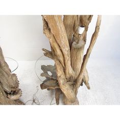 a glass table that has been made out of drift wood and is next to a tree