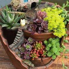 a potted plant with succulents and plants in it