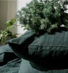 a green plant sitting on top of a black pillow