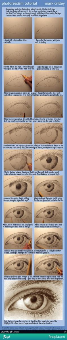 the different stages of an eye