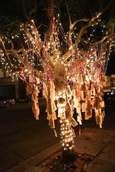 a tree decorated with lights and ribbons