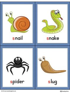 four pictures with different types of animals and words on them, including snail, snake, slug