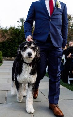 a man in a suit and tie walking his dog