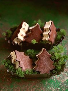 chocolate christmas tree cookies in tins on green surface