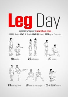 a poster with instructions for how to do a leg day in different poses and positions